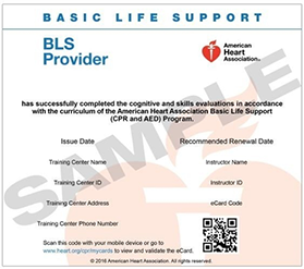 certificado de proveedor de soporte vital básico