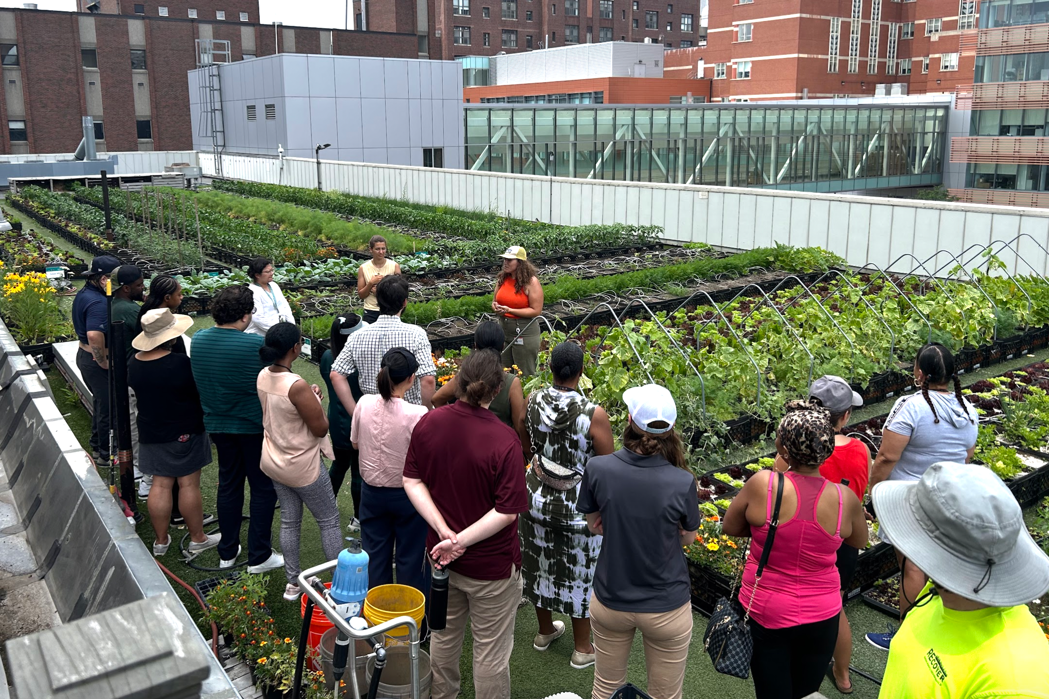 rooftop farm tour