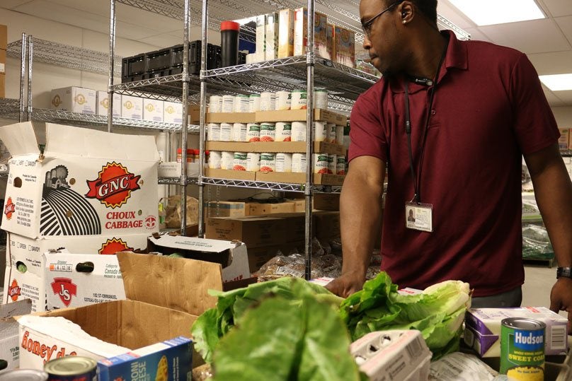 empleado que trabaja en la despensa de alimentos