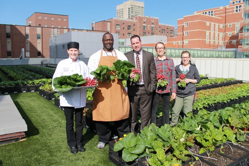 Employees working on the Rooftop Farm