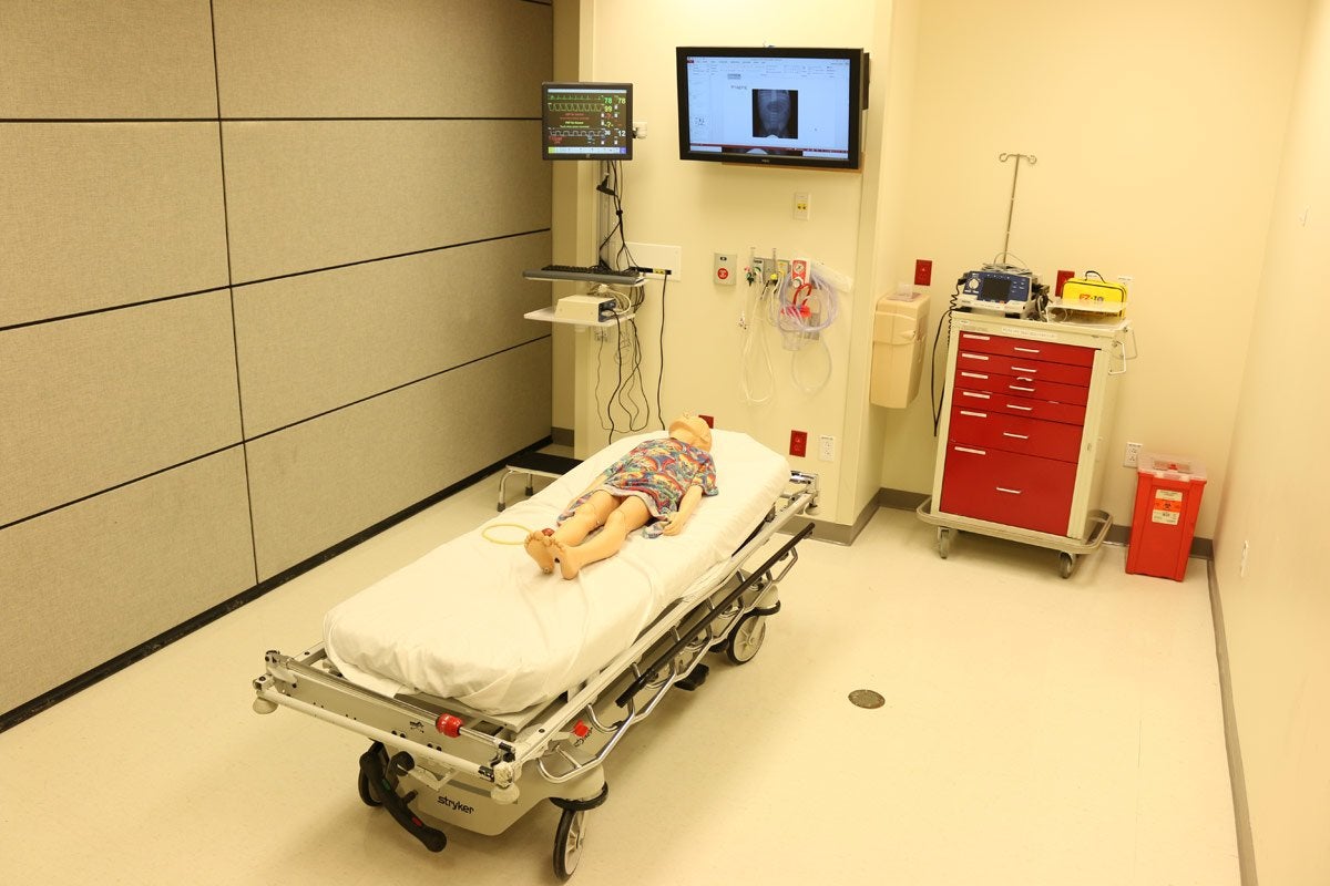 HPS (simulación de paciente humano)
