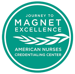 ANCC Journey to Magnet Logo