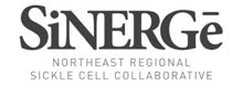 SiNERGe logo