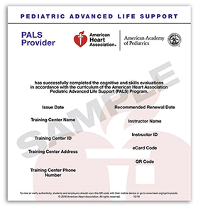 Pediatric Advanced Life Support Pals Boston Medical Center