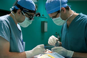 ezzat_cleft-palate