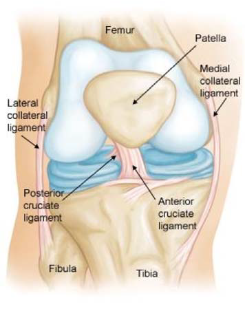 ACL tears
