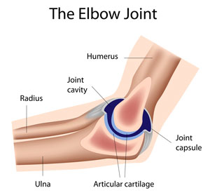 elbow-diagram-orthopedic-surgery