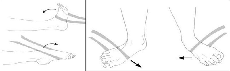 Sprained Ankle Exercises