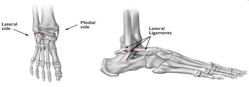 Anatomía del tobillo