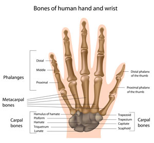 hand-diagram-orthopedic-surgery.