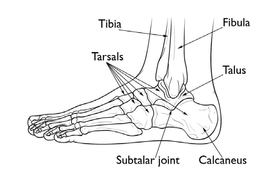 Broken Toe Treatment | X-ray | Podiatrist in Spring, TXLouetta Foot & Ankle  Specialists