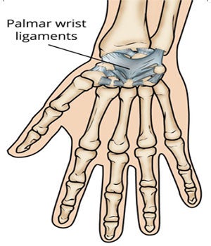 Wrist Ligaments
