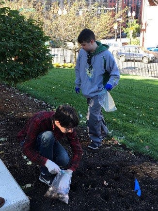 Planting bulbs on BMC campus.