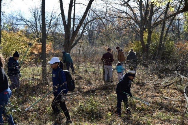 Limpieza de un sendero natural con Mass Audobon Society.