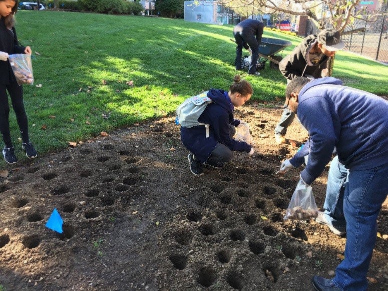 Bulb Planting