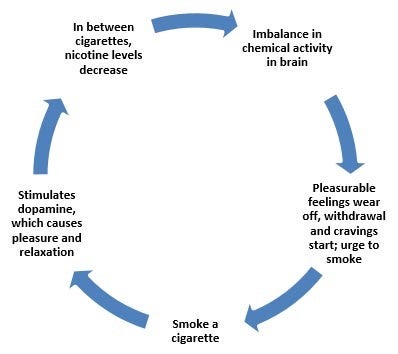 ciclo de dependencia