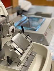 microtome core