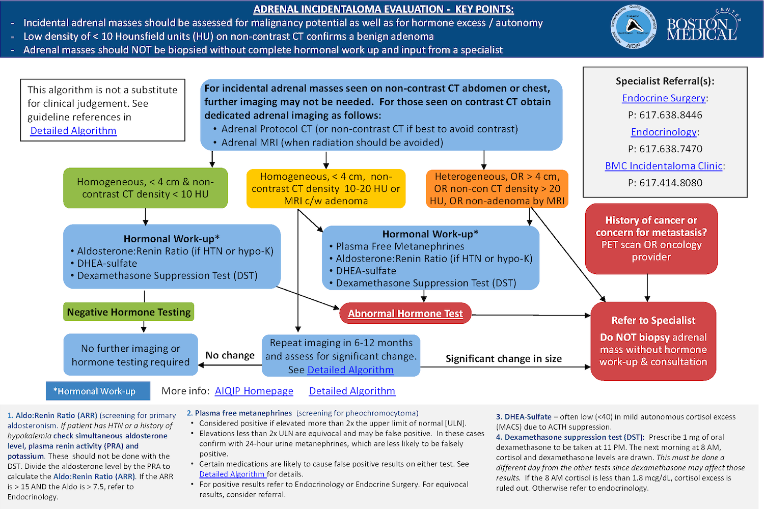 BMC Adrenal Incidentaloma Quality Improvement Project (AIQIP) Algorithm (thumbnail image of first page)