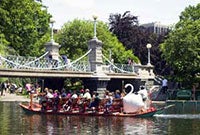 Esta es una imagen de los Swan Boats