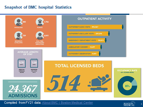 Snapshot of Hospital Statistics
