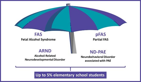A purple and blue umbrella with FASD, pFASD, ARND, and NDPAE all as part of 5% of children