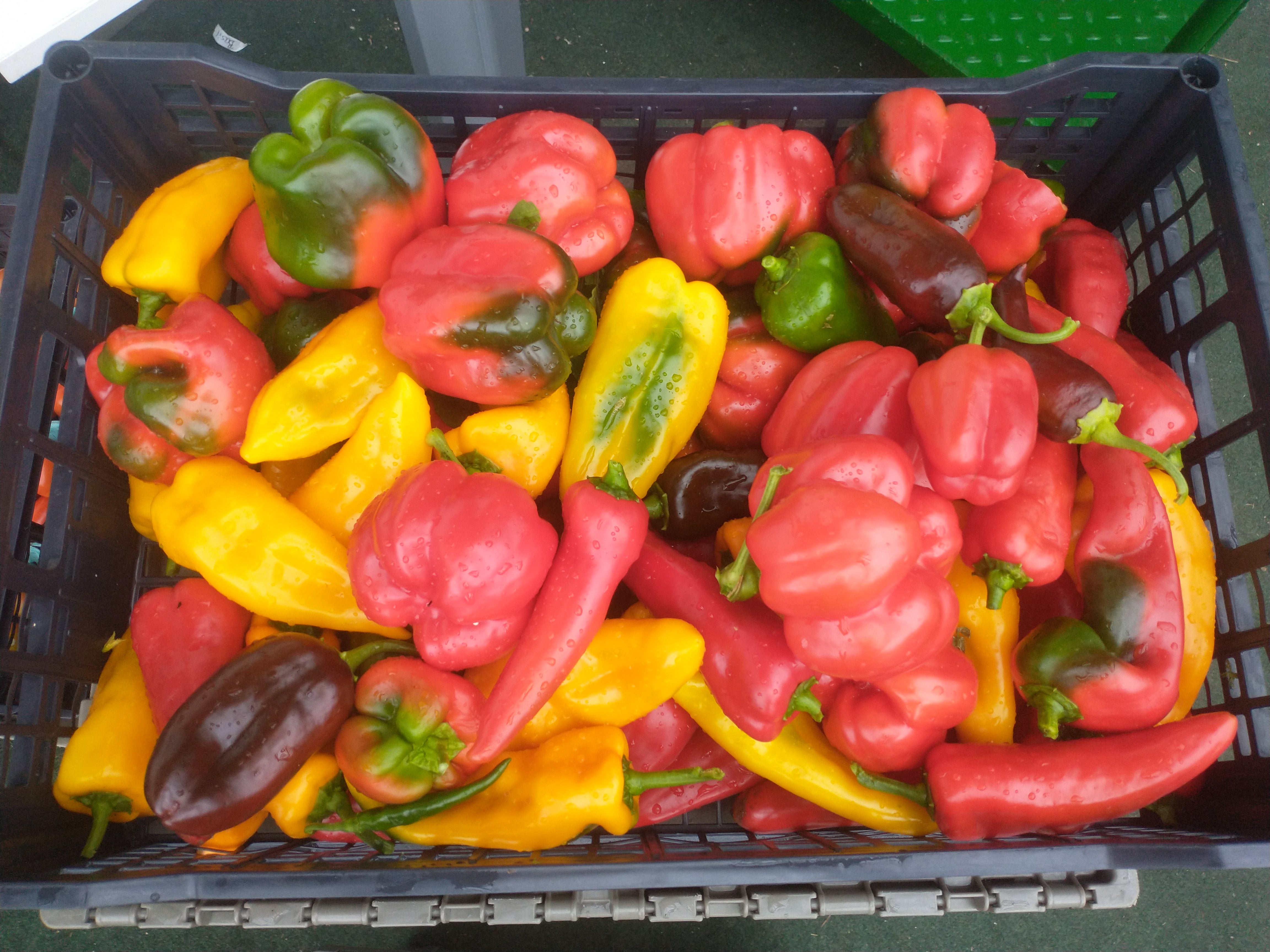 Crate of peppers