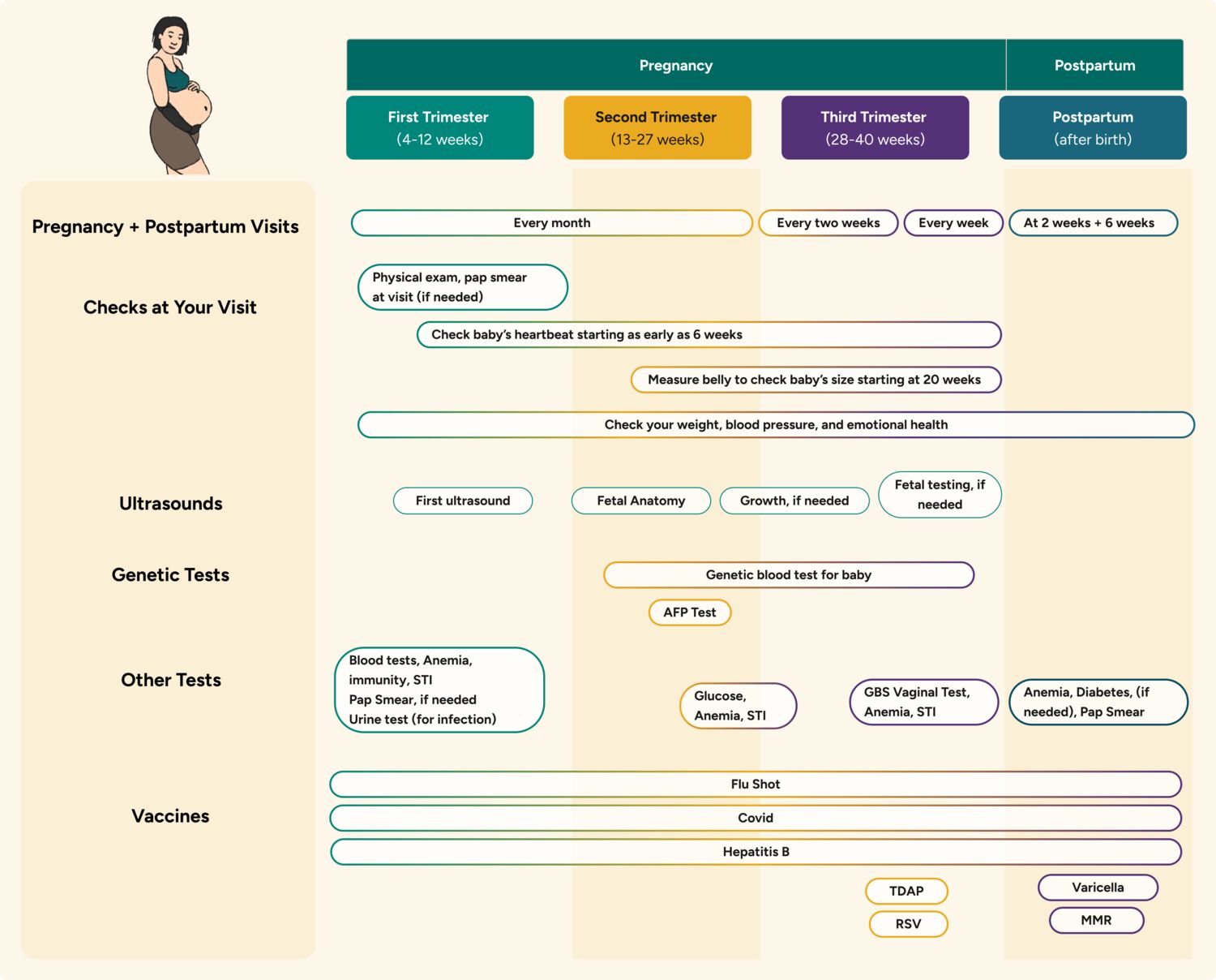 what to expect during prenatal visits