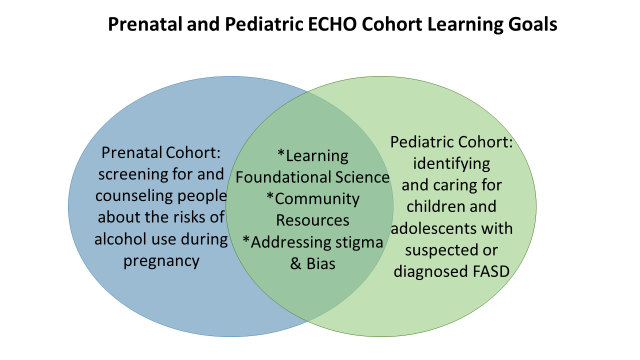 A venn diagram of two circles comparing the pediatric and prenatal cohort