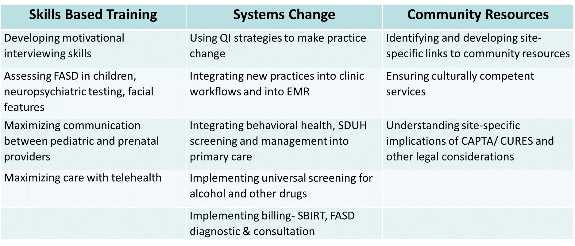 A table listing TA options in three columns: Skills Based, Practice Change and Community Resources