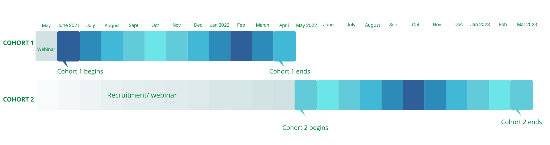 Time line in gradations of blue showing Cohort 1 and Cohort 2