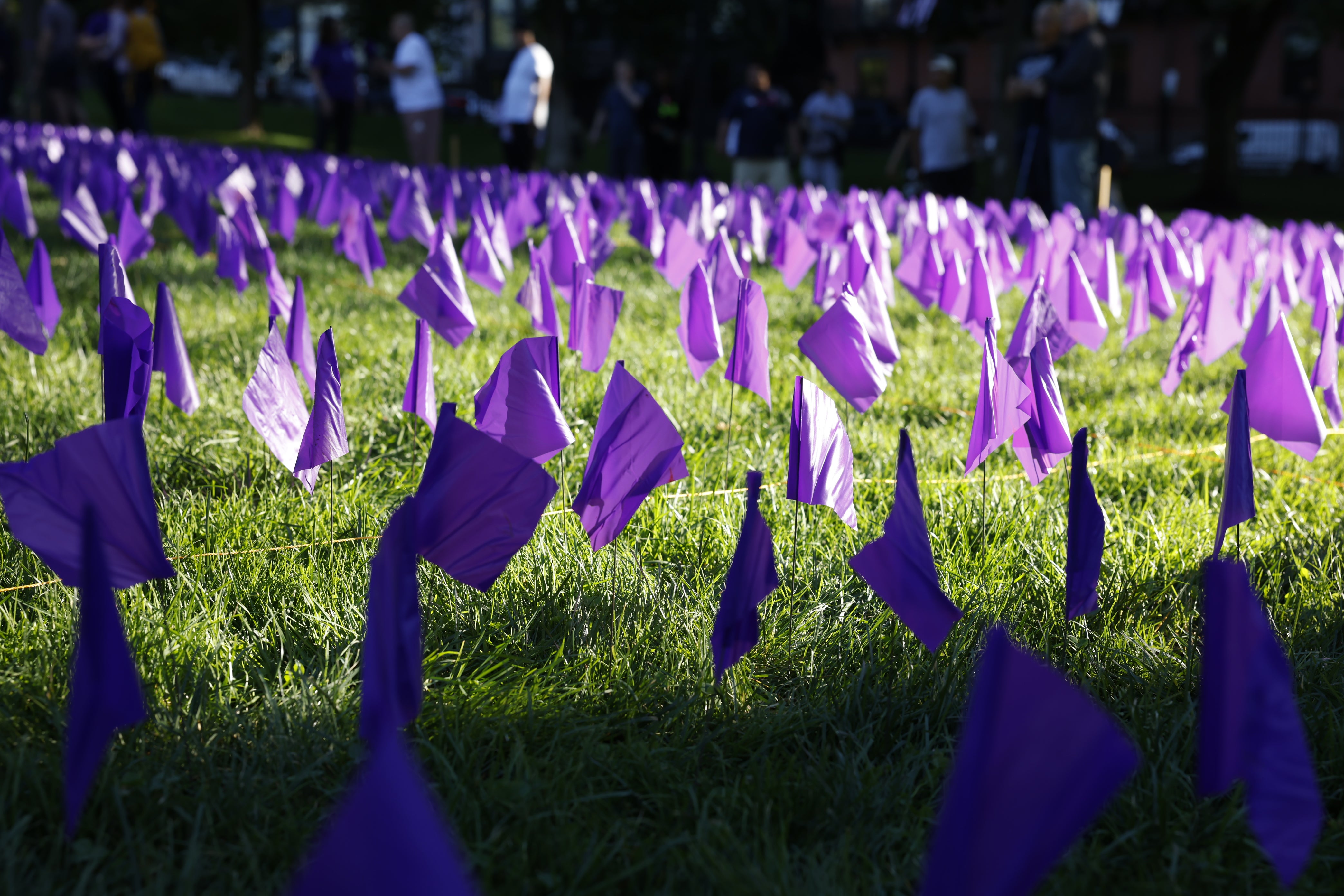 Purple flags