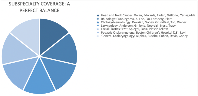 Graphic representation of ENT subspecialties of faculty