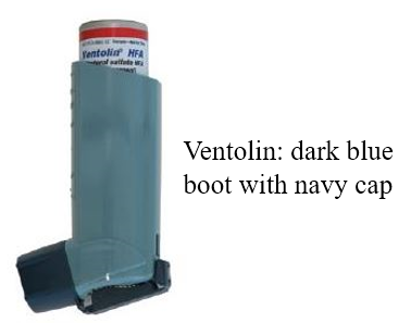 Ventolin