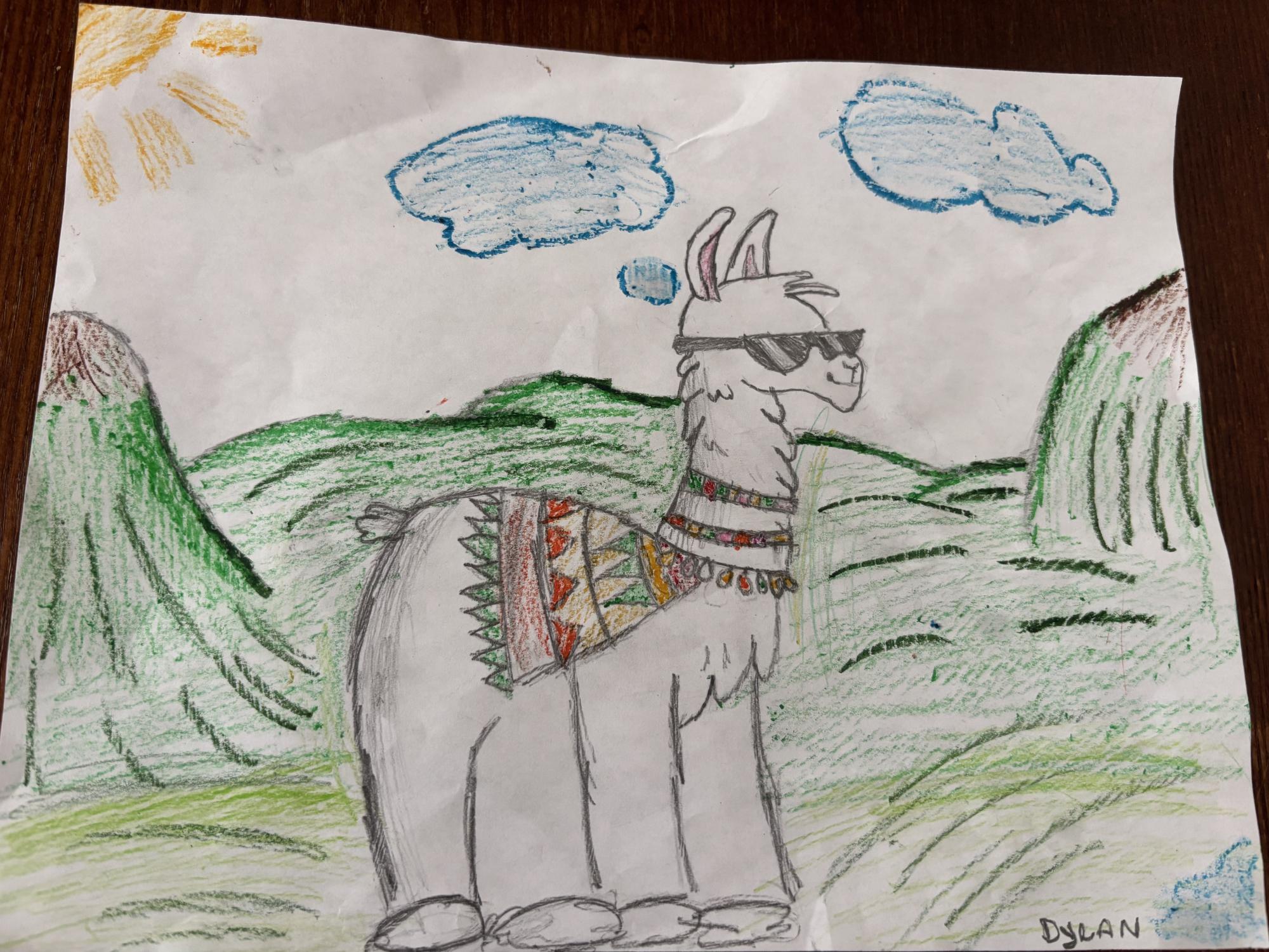 An illustration in crayon of a llama wearing sunglasses, drawn by BMC pediatric surgery patient Dylan